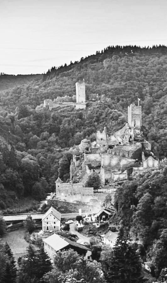 Herberg Die Alte Schleuse Manderscheid Extérieur photo