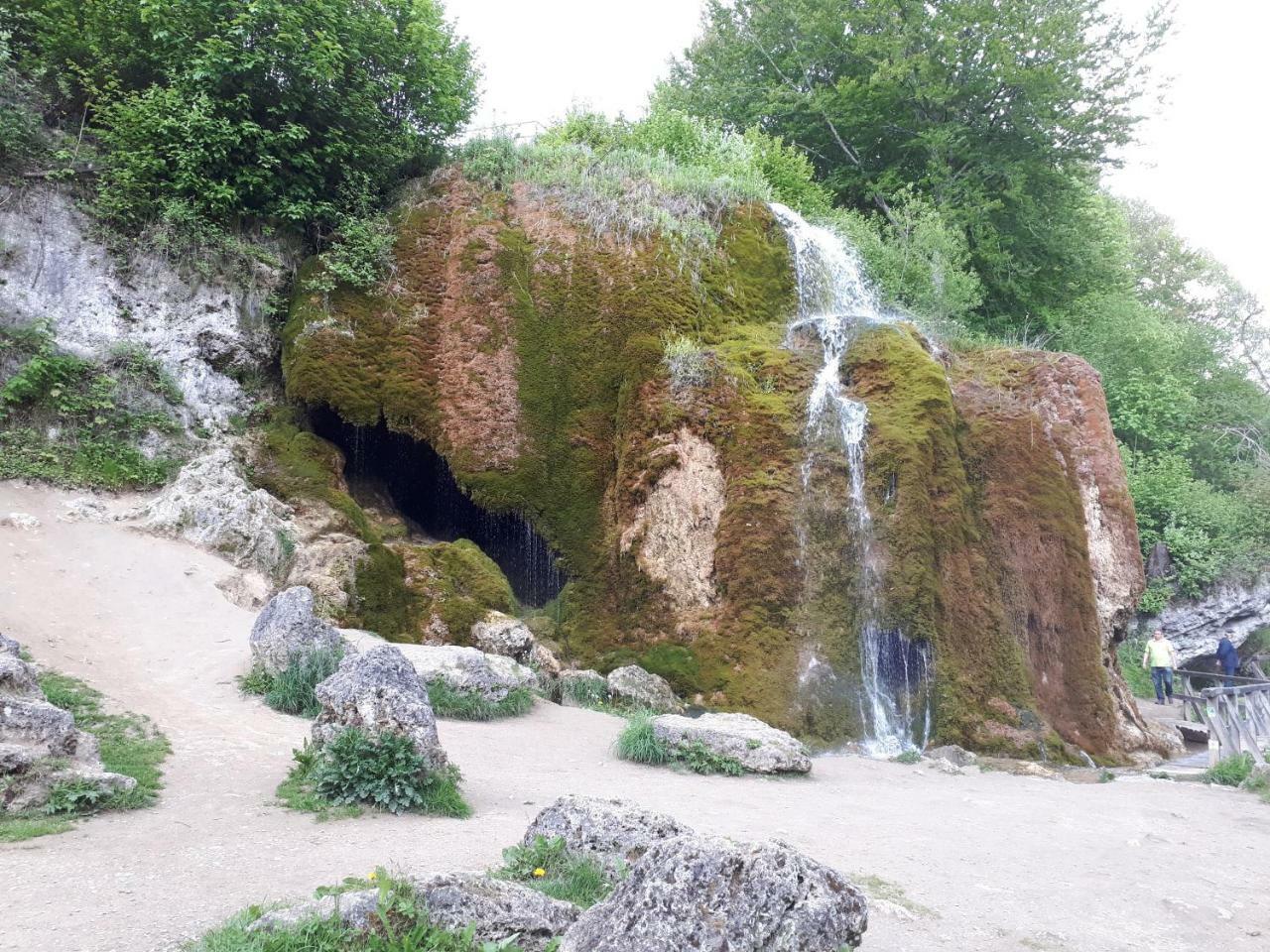 Herberg Die Alte Schleuse Manderscheid Extérieur photo