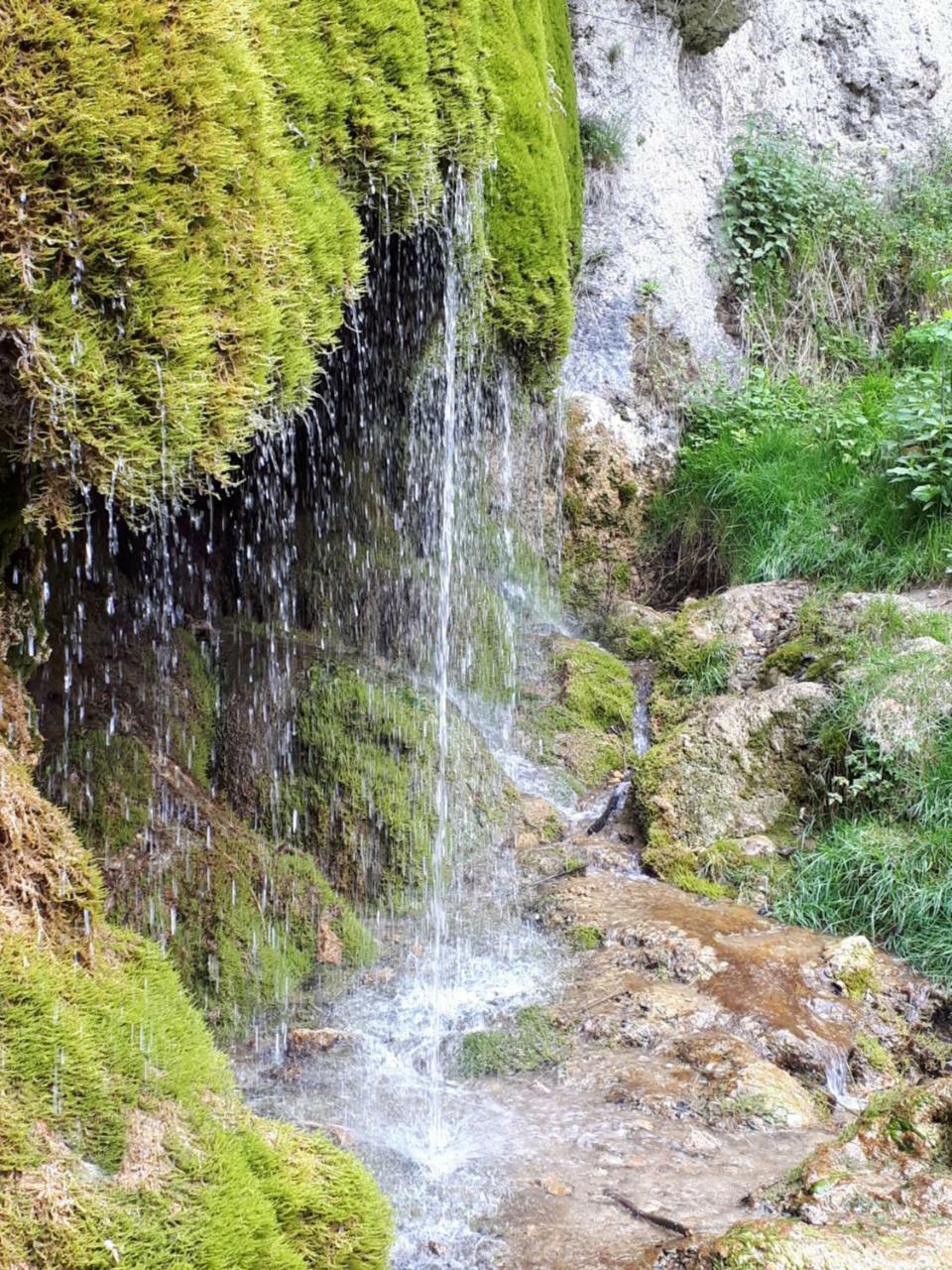 Herberg Die Alte Schleuse Manderscheid Extérieur photo
