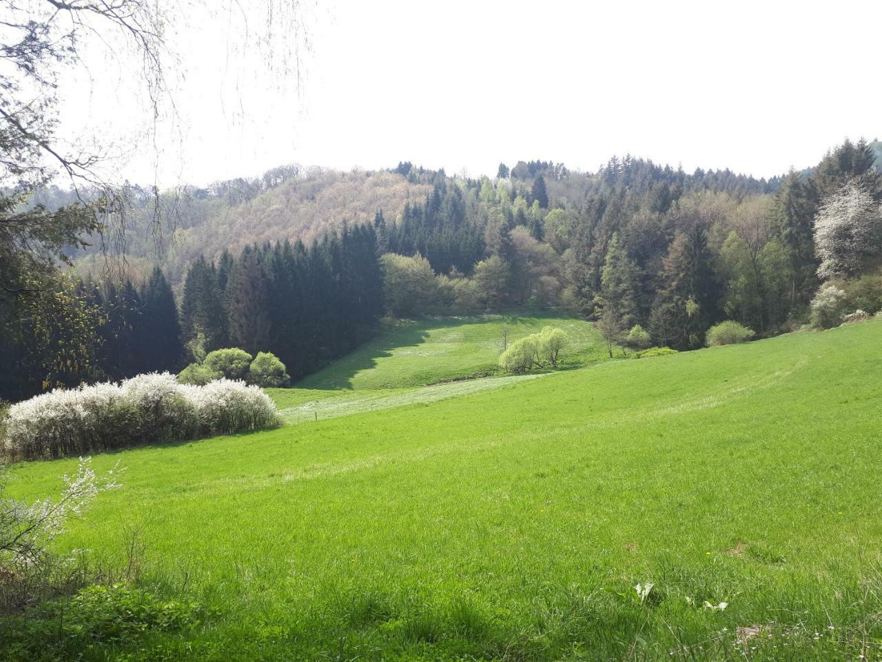 Herberg Die Alte Schleuse Manderscheid Extérieur photo